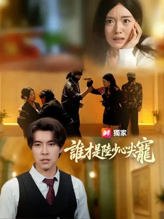 谁才是陆少心尖宠