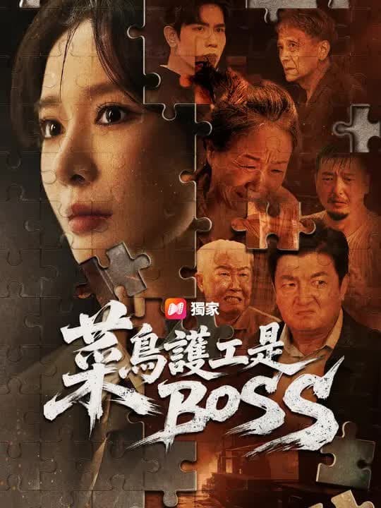 菜鸟护工是BOSS