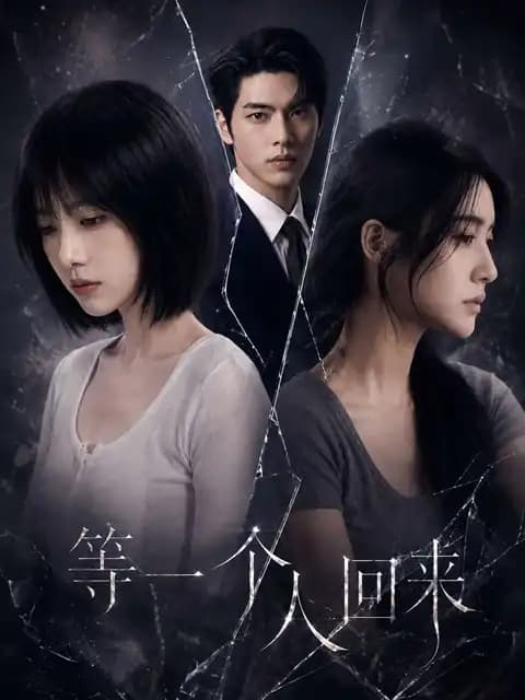 等一个人回来 第一季封面