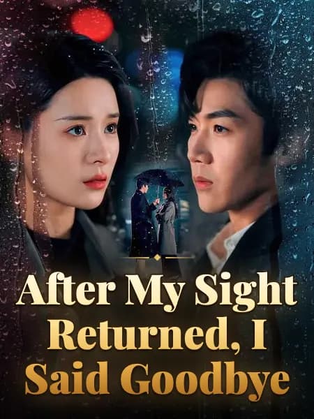 After My Sight Returned, I Said Goodbye