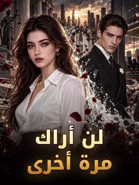 لن أراك مرة أخرى