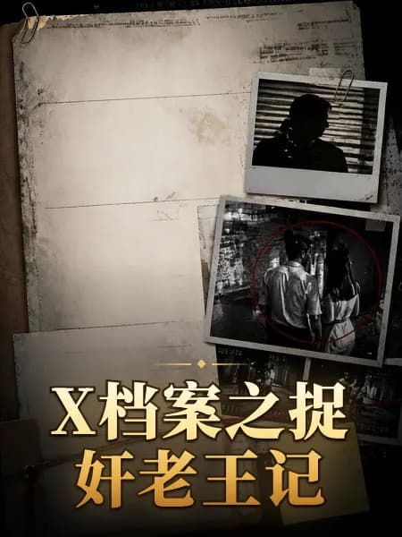 X档案之捉奸老王记封面