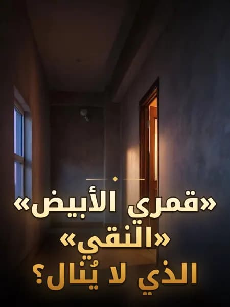 «قمري الأبيض» «النقي» الذي لا يُنال؟ — رسم توضيحي للقصة