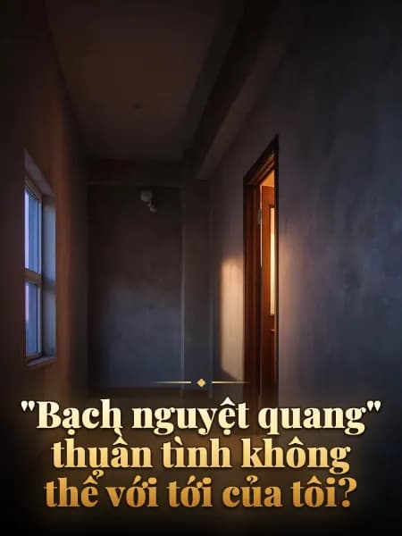 "Bạch nguyệt quang" thuần tình không thể với tới của tôi? — Minh họa truyện