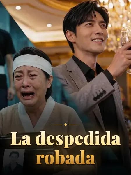 La despedida robada
