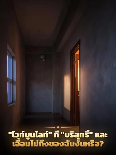 "ไวท์มูนไลท์" ที่ "บริสุทธิ์" และเอื้อมไม่ถึงของฉันงั้นหรือ? — ภาพประกอบเรื่อง