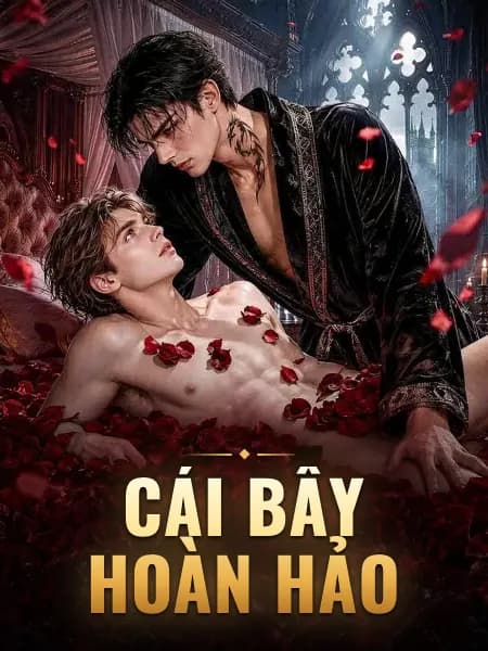 Cái Bẫy Hoàn Hảo