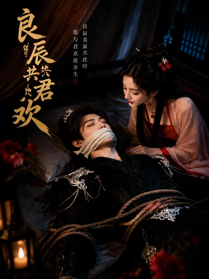 良辰共君欢封面